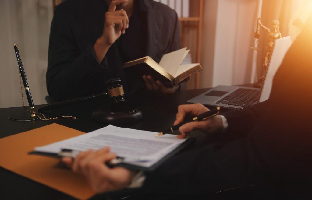 Litigii cu Profesionistii